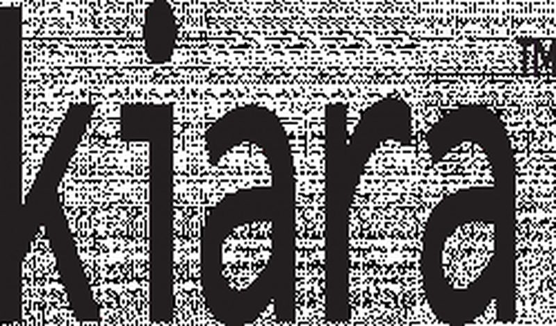 The Logo Company